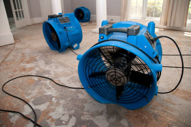 Best Flooded house restoration  in Schuyler, NE