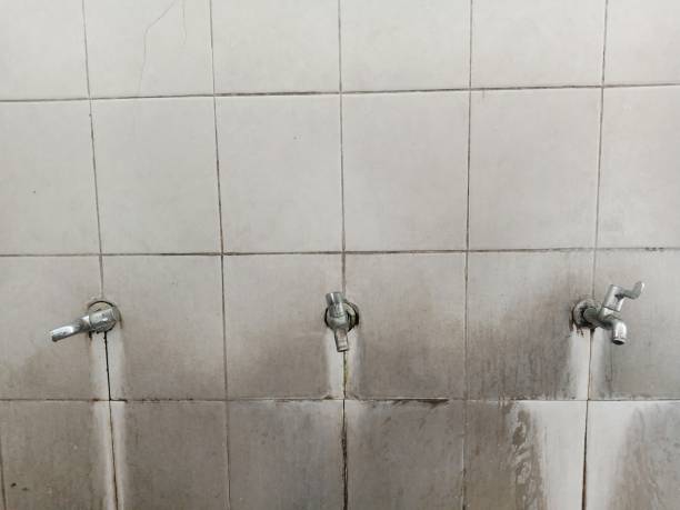 Reliable Schuyler, NE Water damage restoration Solutions